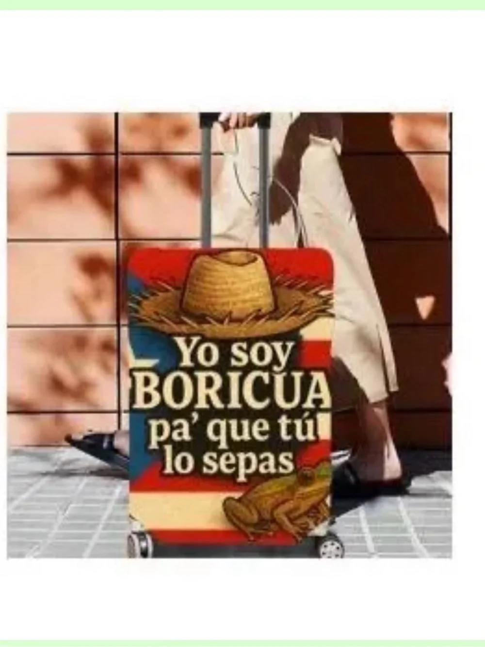 Boricua Statement carry-on cover